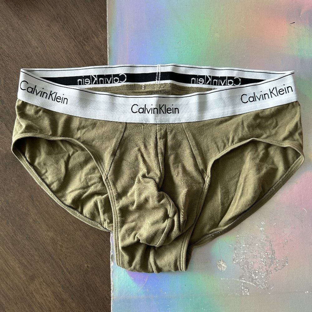 Mens Calvin Klein Briefs size Large